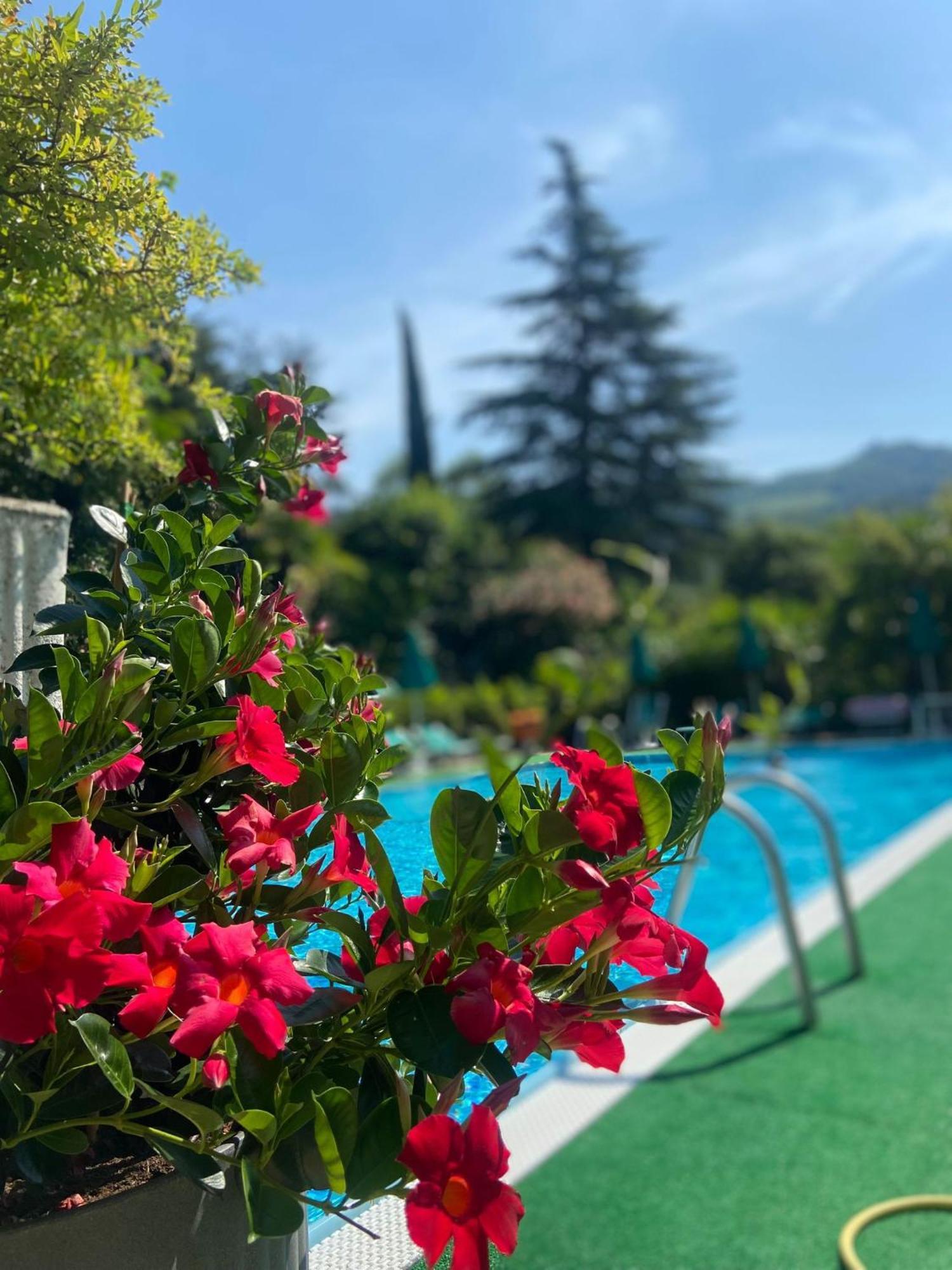 Residence Concaverde Pomarolo Екстер'єр фото